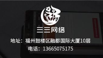 福州市品牌電商開發定制 商城建設 三三網絡
